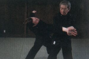 kihon_happo_lubos_005