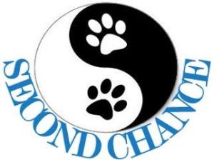 11103859_902403133165327_406401004_n